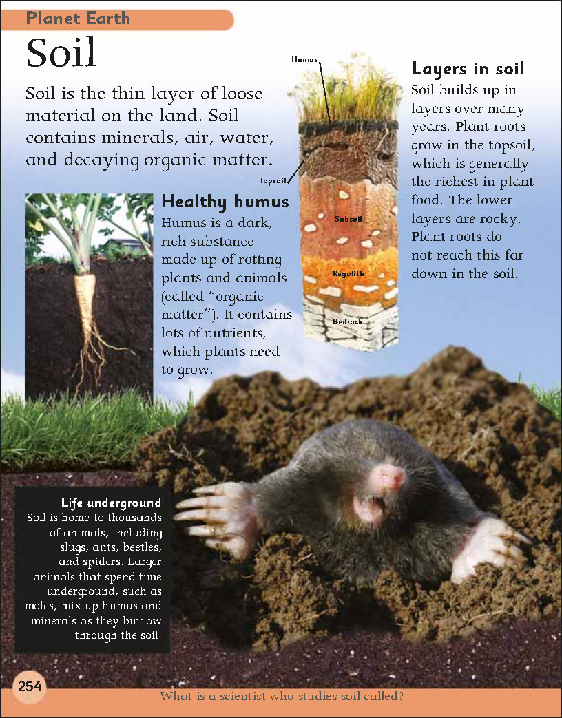 First Childrens Encyclopedia