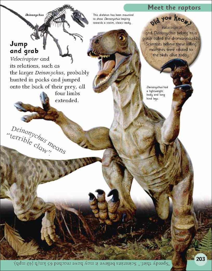 First Childrens Encyclopedia