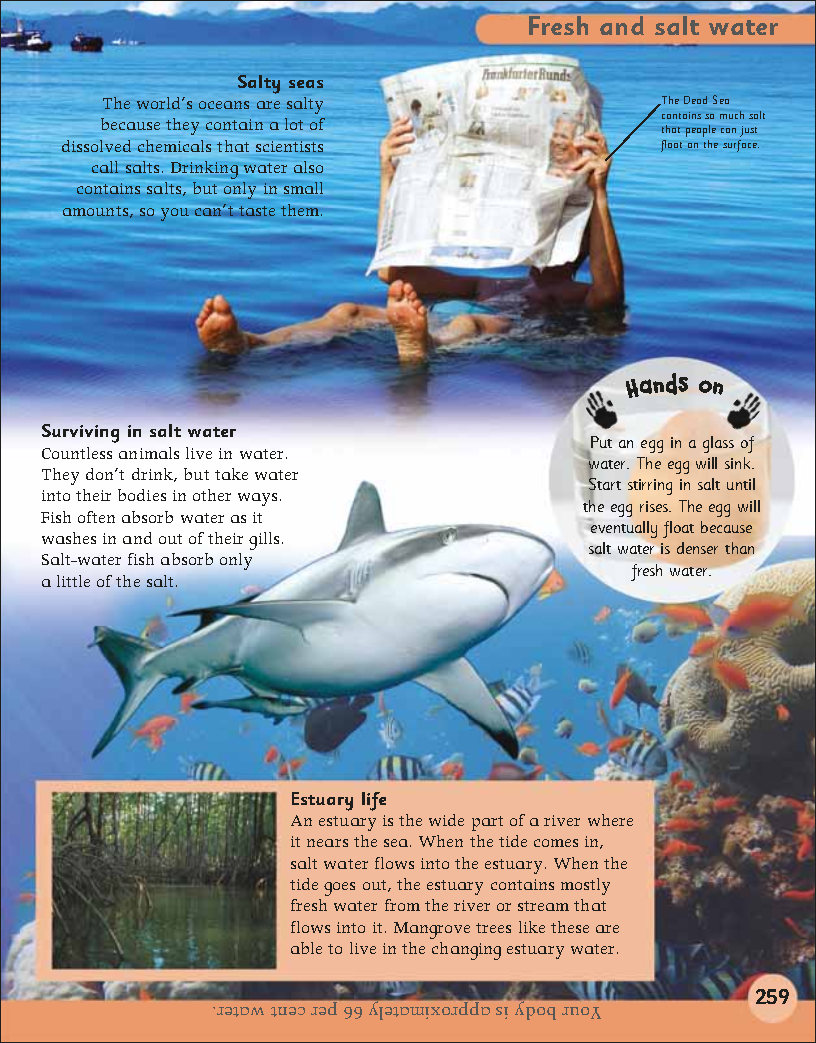 First Childrens Encyclopedia