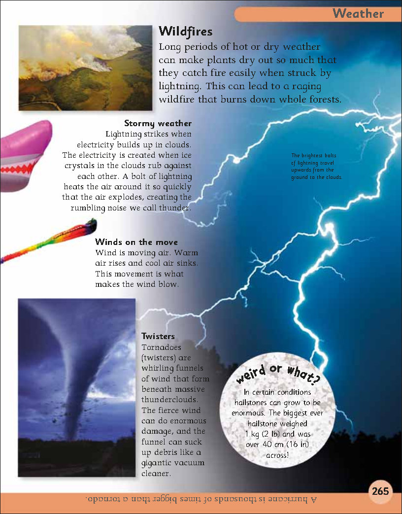 First Childrens Encyclopedia