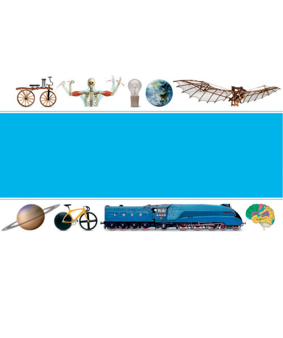 Picturepedia An Encyclopedia on Every Page
