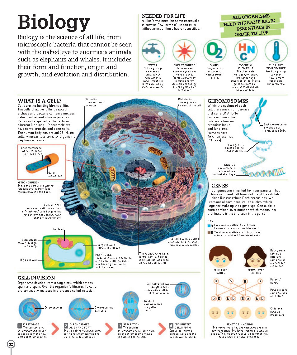 Picturepedia An Encyclopedia on Every Page