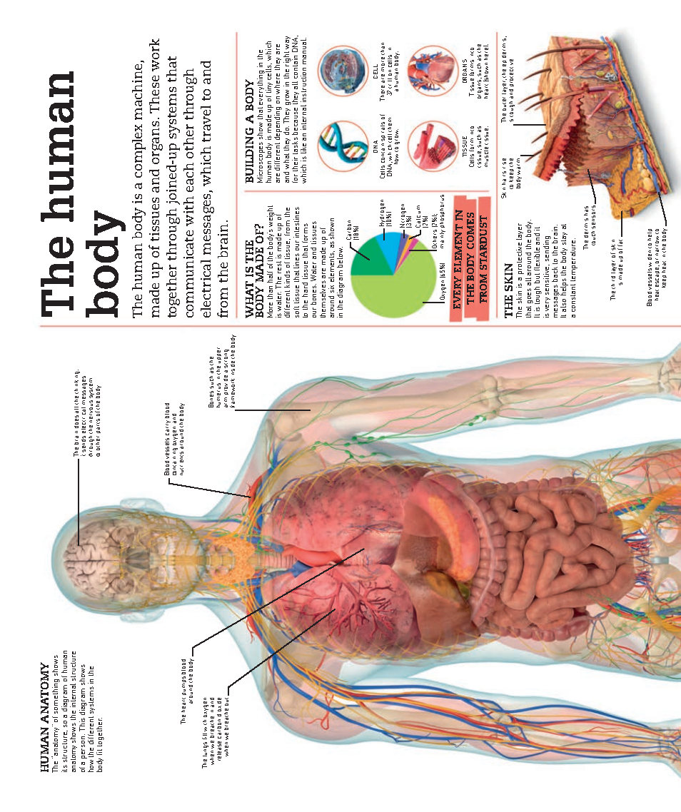 Picturepedia An Encyclopedia on Every Page