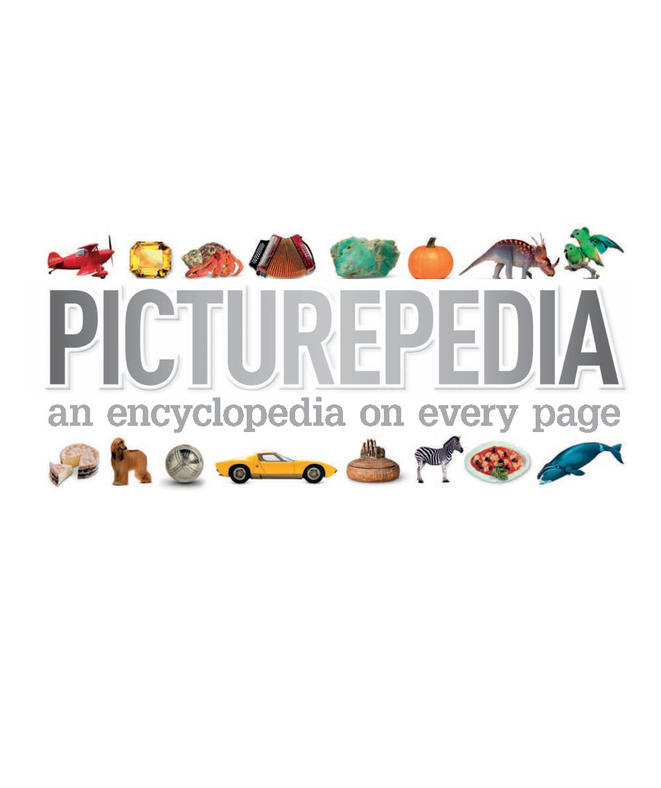 Picturepedia An Encyclopedia on Every Page