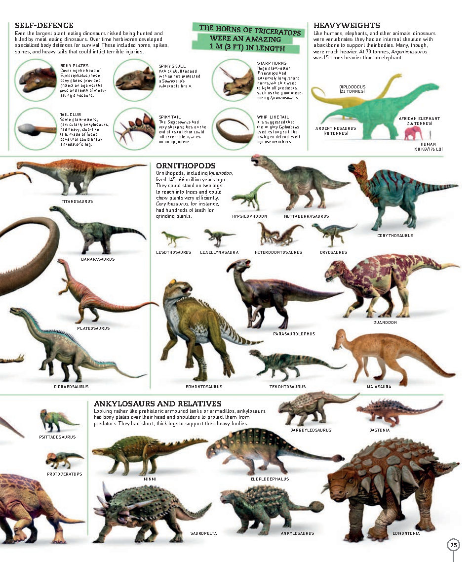 Picturepedia An Encyclopedia on Every Page