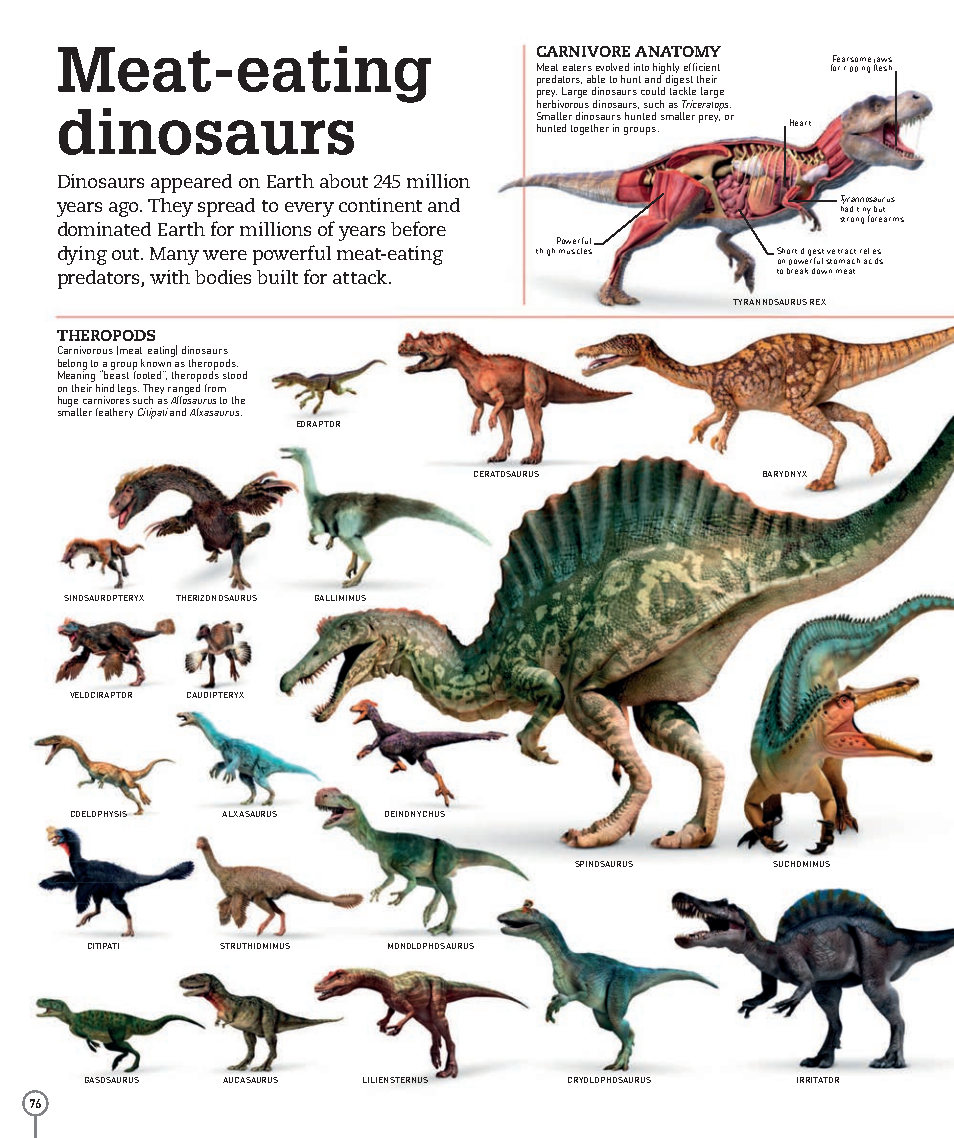 Picturepedia An Encyclopedia on Every Page