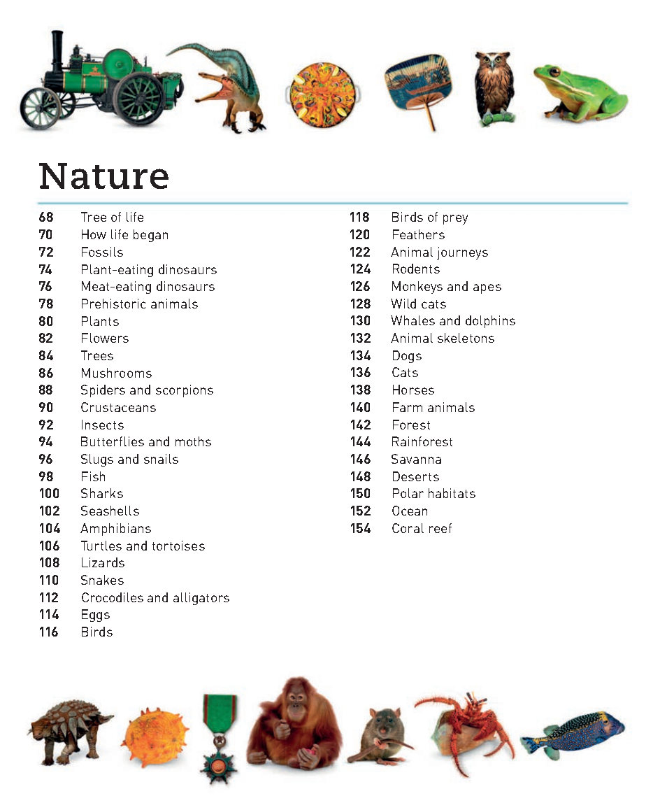 Picturepedia An Encyclopedia on Every Page