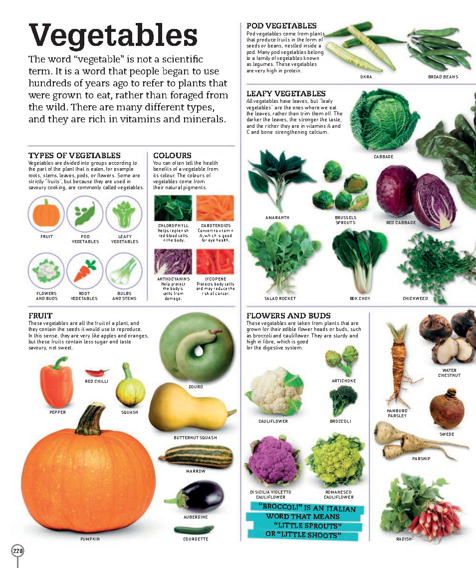 Picturepedia An Encyclopedia on Every Page