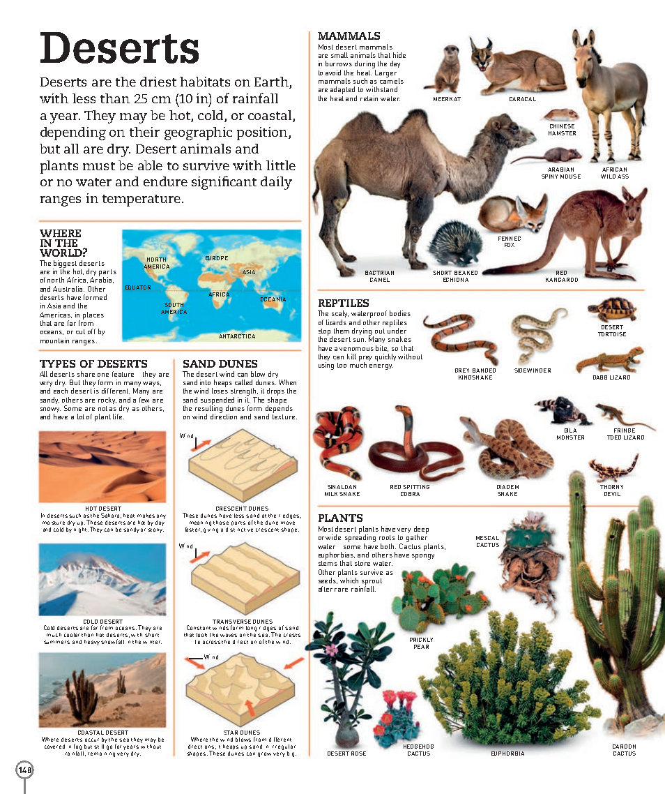 Picturepedia An Encyclopedia on Every Page