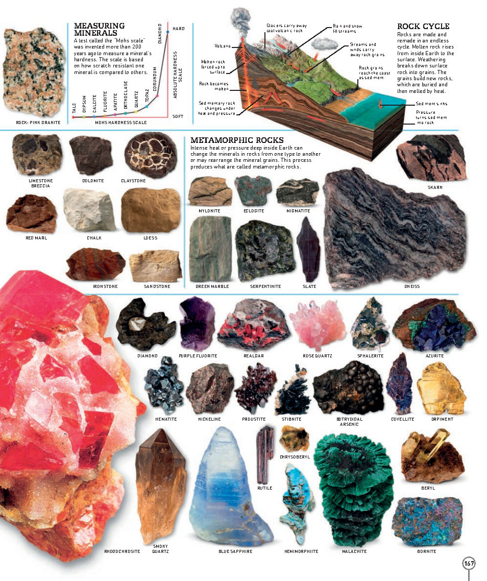Picturepedia An Encyclopedia on Every Page