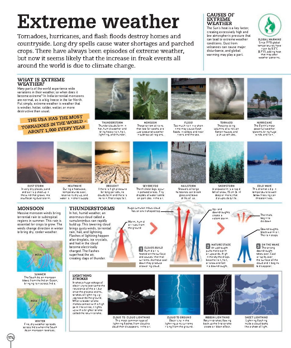 Picturepedia An Encyclopedia on Every Page