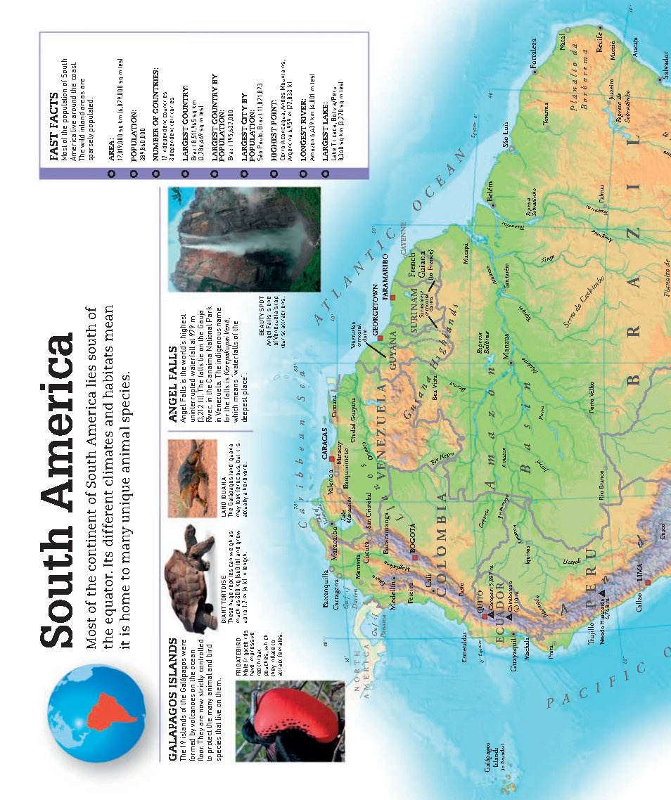 Picturepedia An Encyclopedia on Every Page