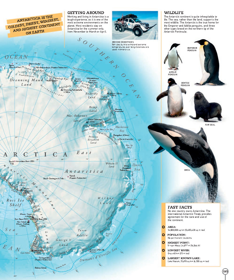 Picturepedia An Encyclopedia on Every Page