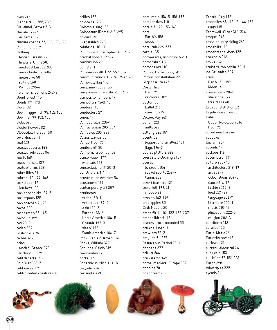 Picturepedia An Encyclopedia on Every Page