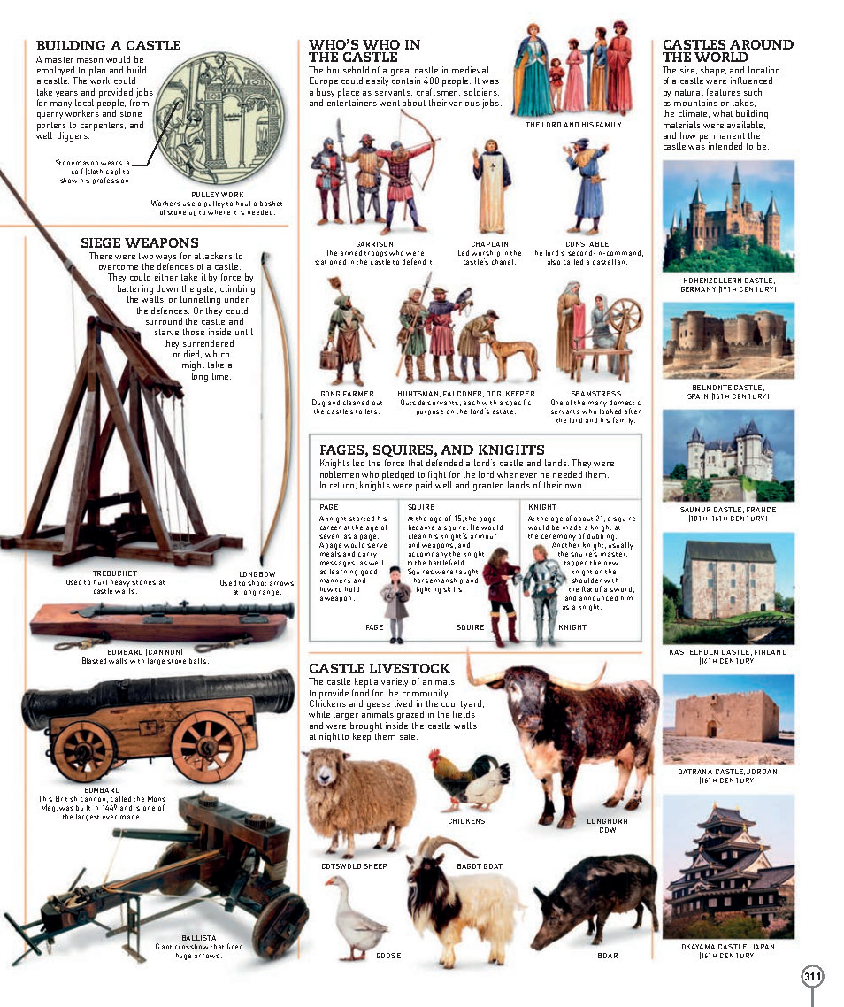 Picturepedia An Encyclopedia on Every Page
