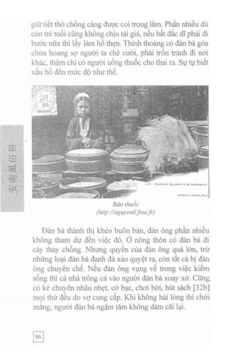 An Nam Phong Tục Sách