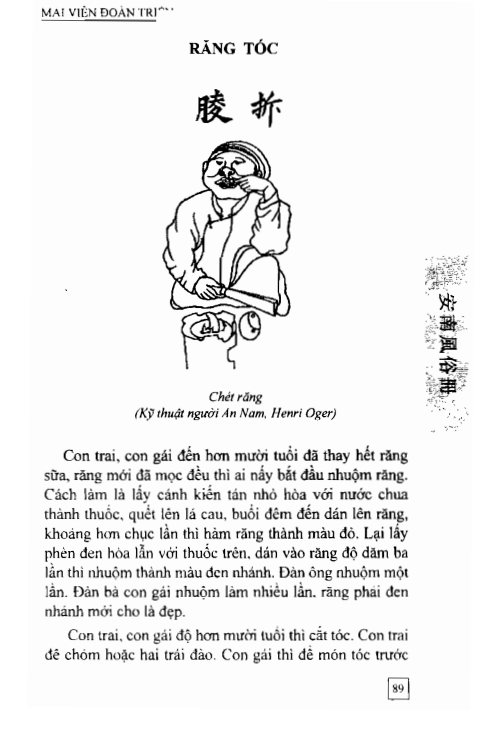 An Nam Phong Tục Sách