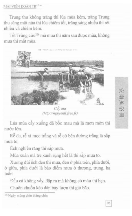 An Nam Phong Tục Sách