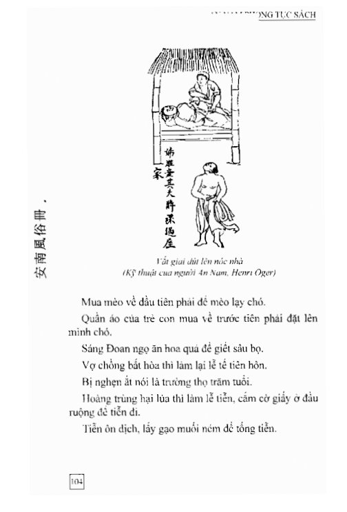 An Nam Phong Tục Sách