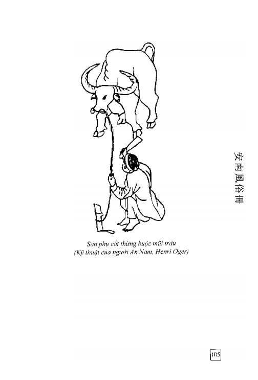 An Nam Phong Tục Sách