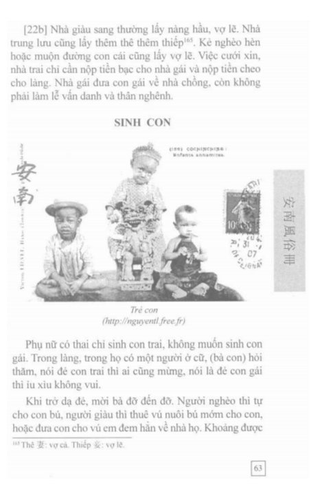 An Nam Phong Tục Sách
