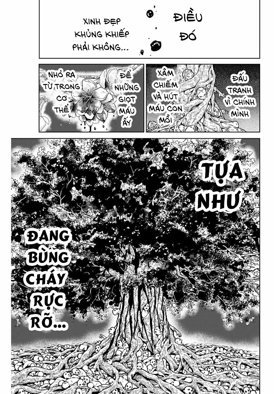Thể Thao Cực Hạn